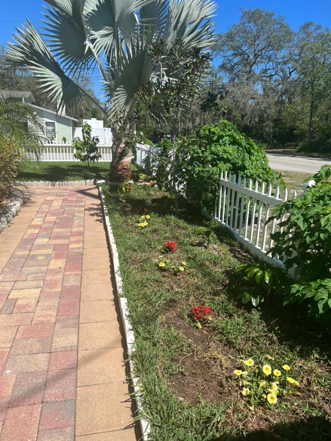Caribbean Splendor Vacation Rental Near Bush Gardens Tampa Fl 외부 사진