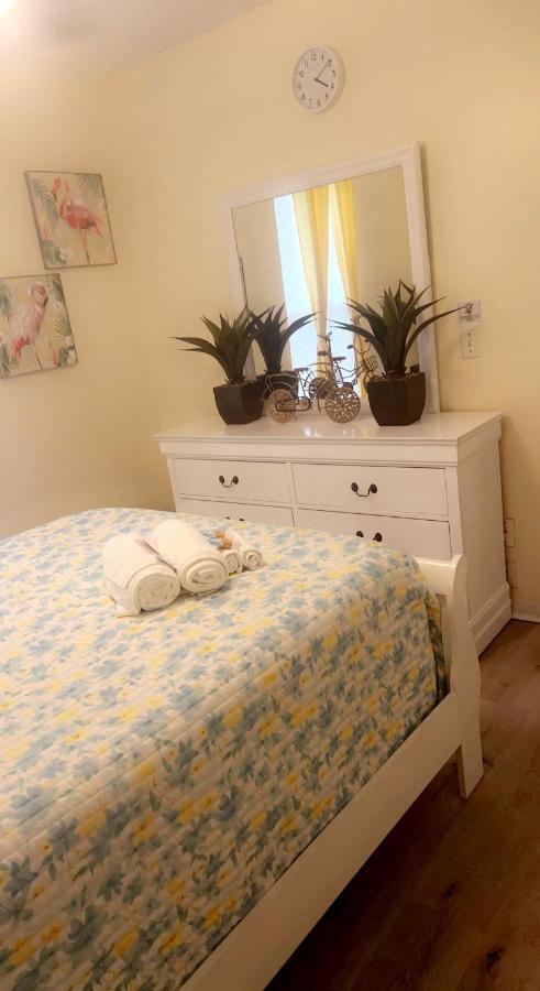 Caribbean Splendor Vacation Rental Near Bush Gardens Tampa Fl 외부 사진